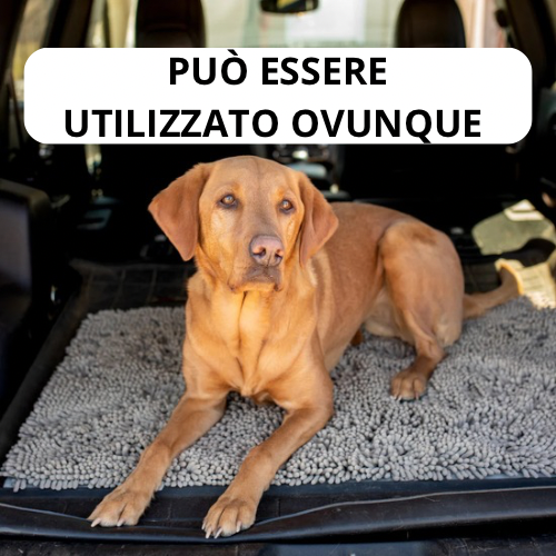 Tappetino Assorbi Impronte De caprio.